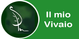 vivaio simone locatelli